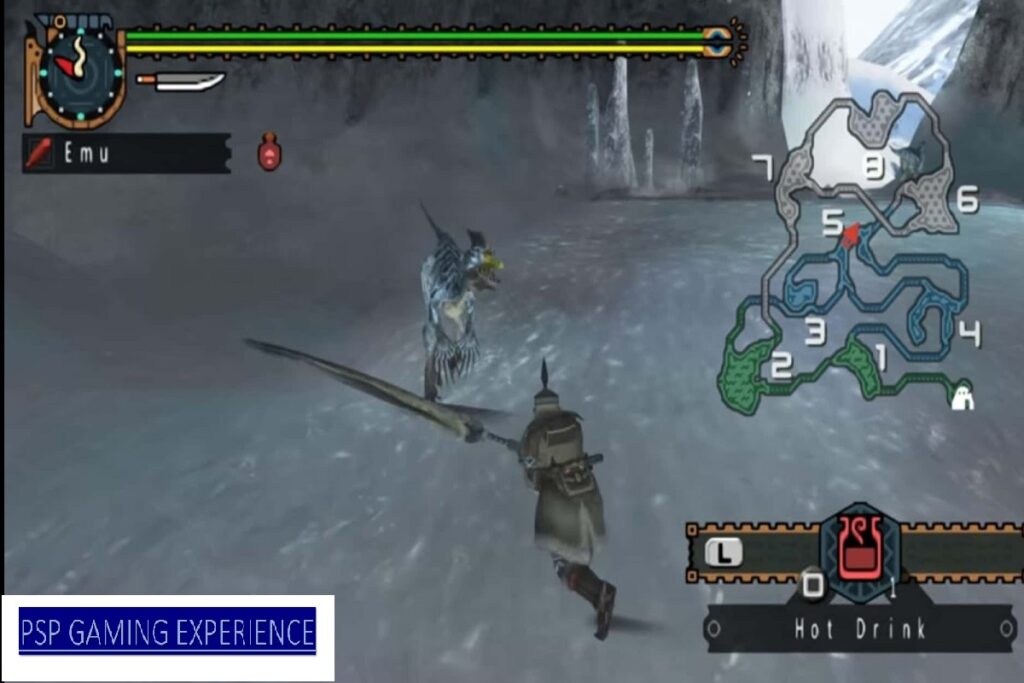 PSP Gaming Experience