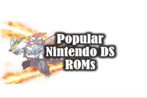 Popular Nintendo DS ROMs