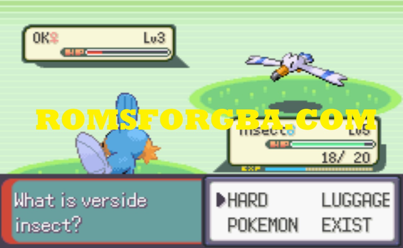 Screenshot of Google Translated Pokemon Emerald Game