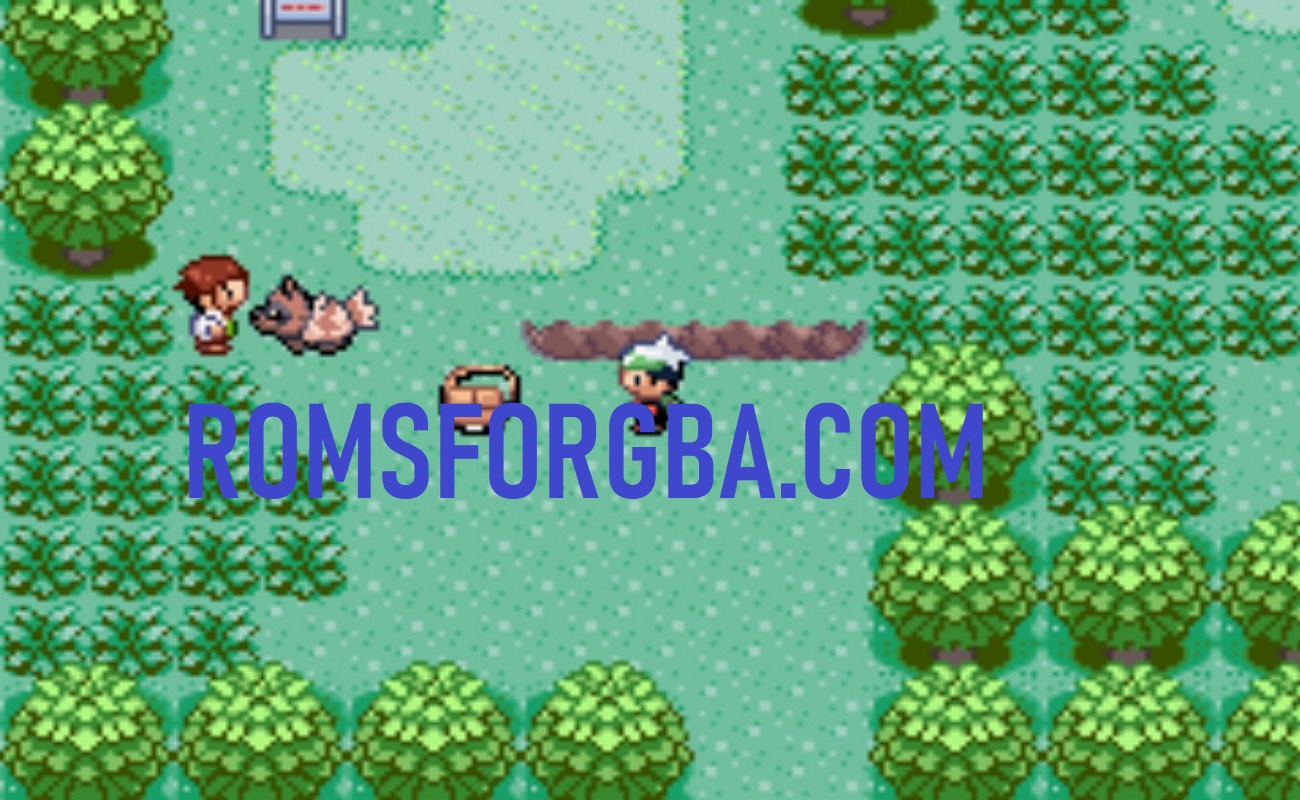 Screenshot of Pokemon Emerald Complete Safari ROM Download
