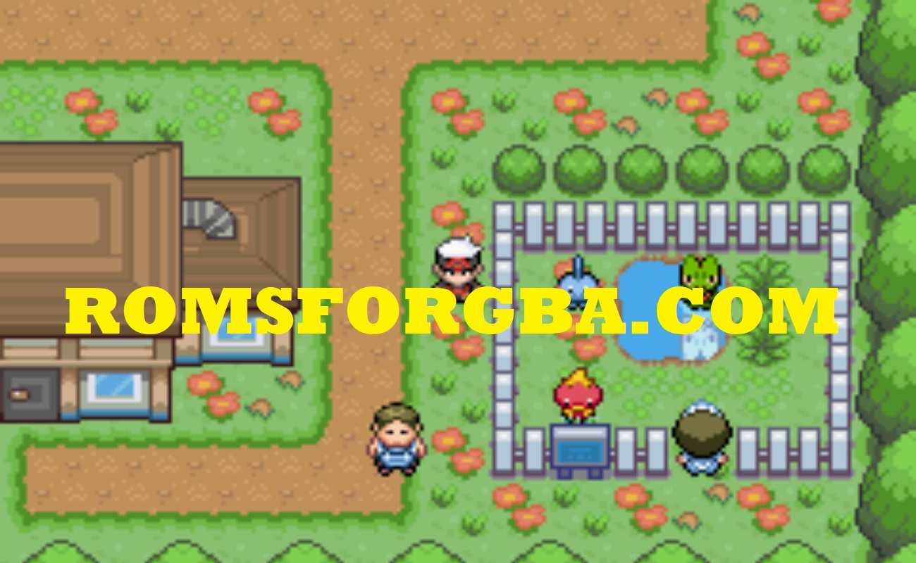 Screenshot of Pokémon Hyper Emerald V Rainbow Eraser 5.3