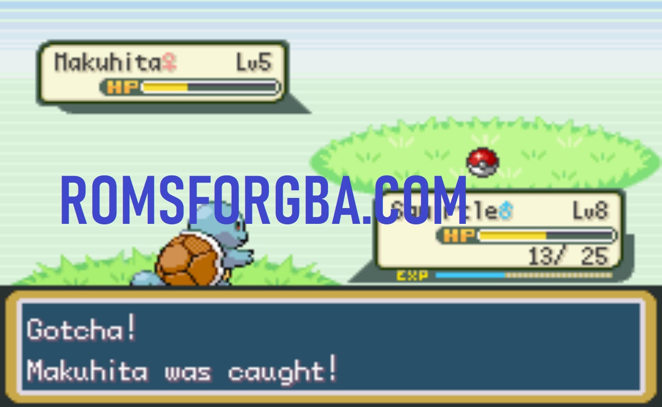 Screenshot of Pokémon Robust FireRed ROM
