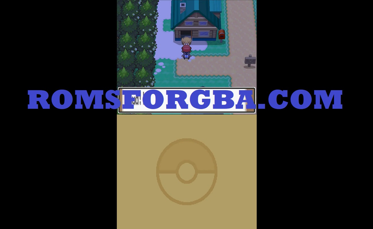 Screenshot of Pokemon Following Platinum