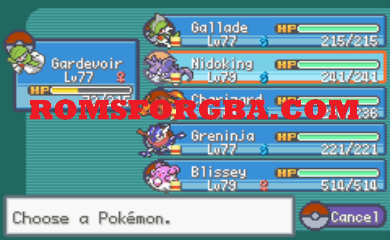 Screenshot of Pokémon Magical Altering Gym Menagerie ROM