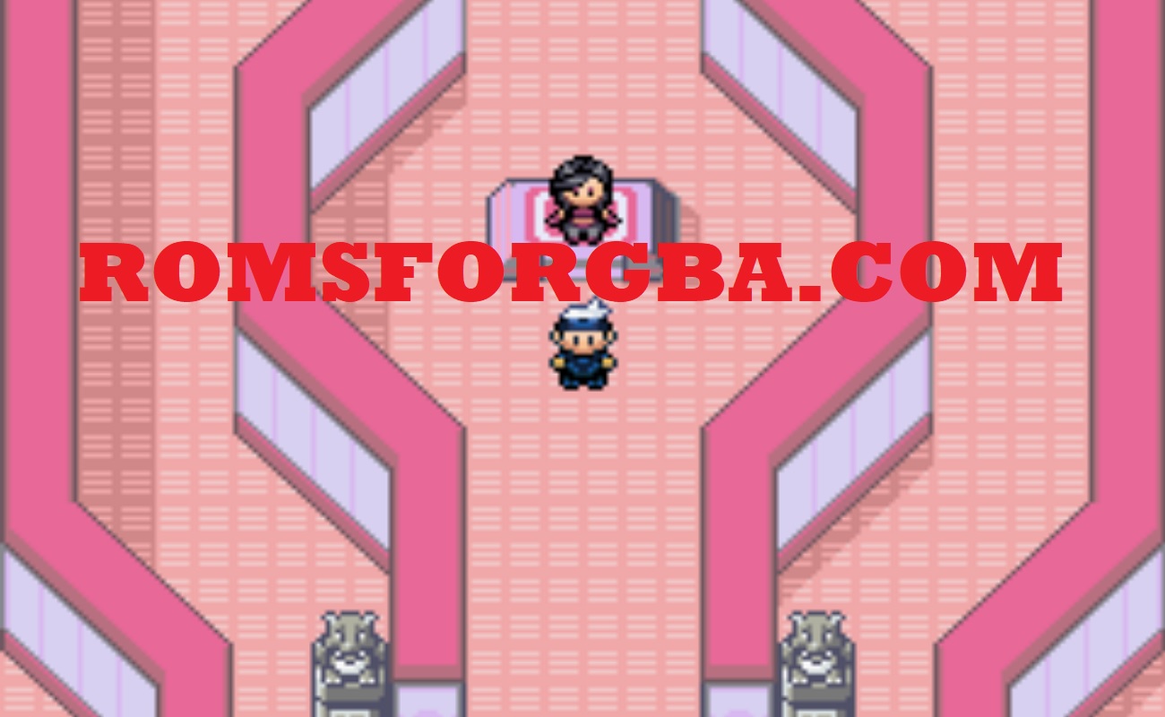 Screenshot of Pokemon Magical Altering Gym Menagerie
