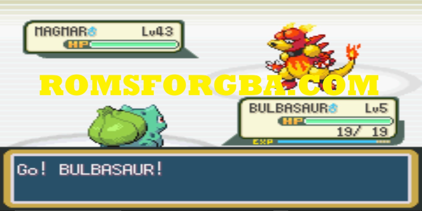 Screenshot of Pokemon Perfect Fire Red