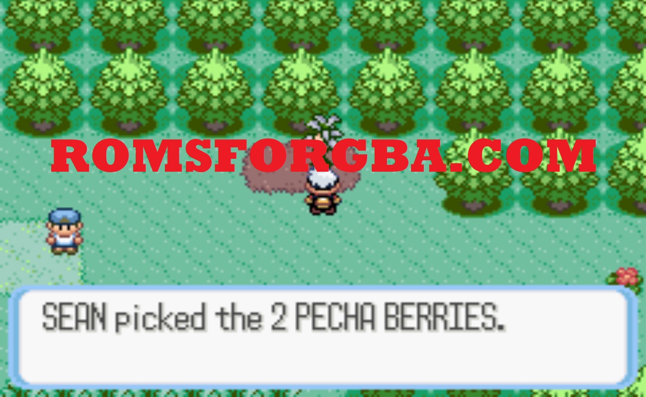 Screenshot of Pokemon Velvet Sapphire GBA ROM