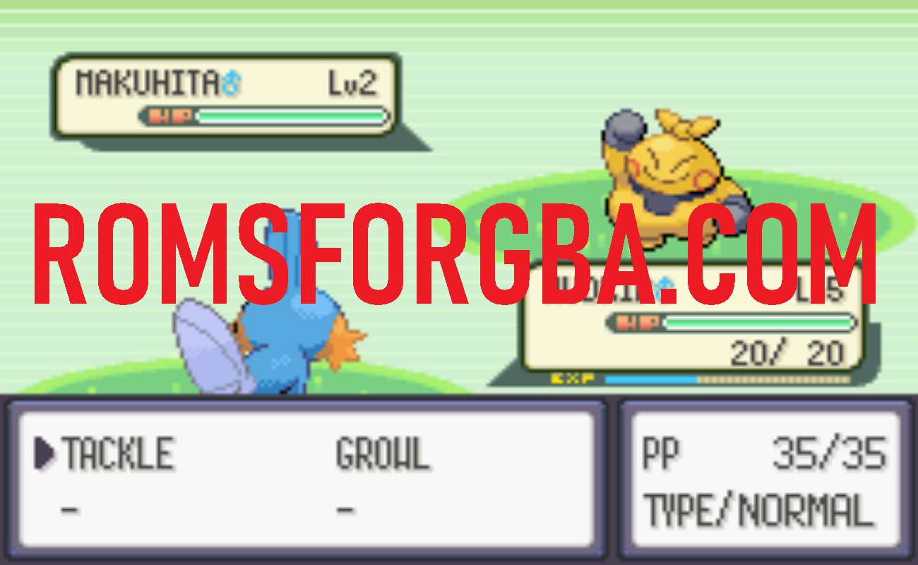 Screenshot of Pokemon Emerald Semi Randomizer GBA