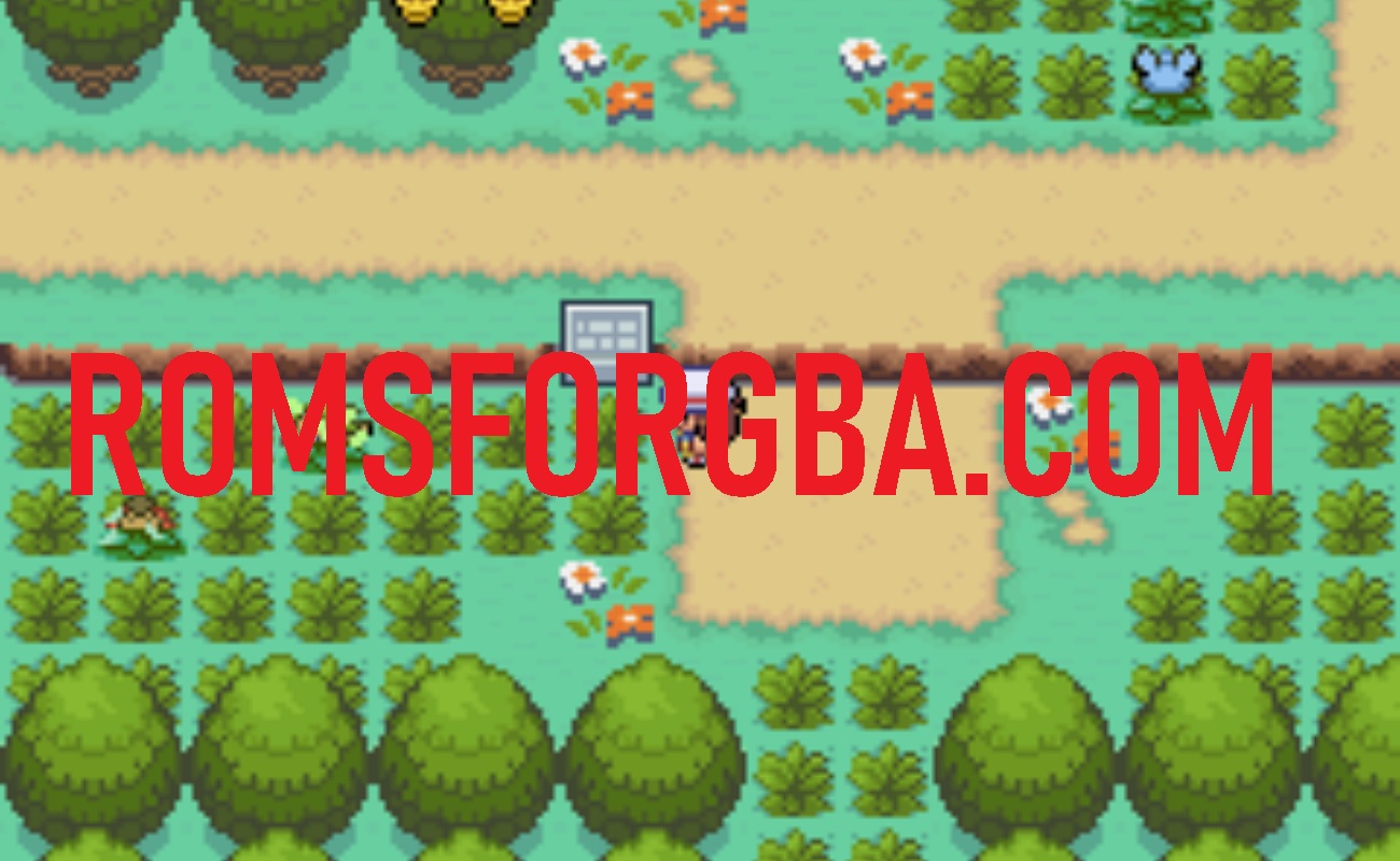 Screenshot of Pokemon Metal Red Game