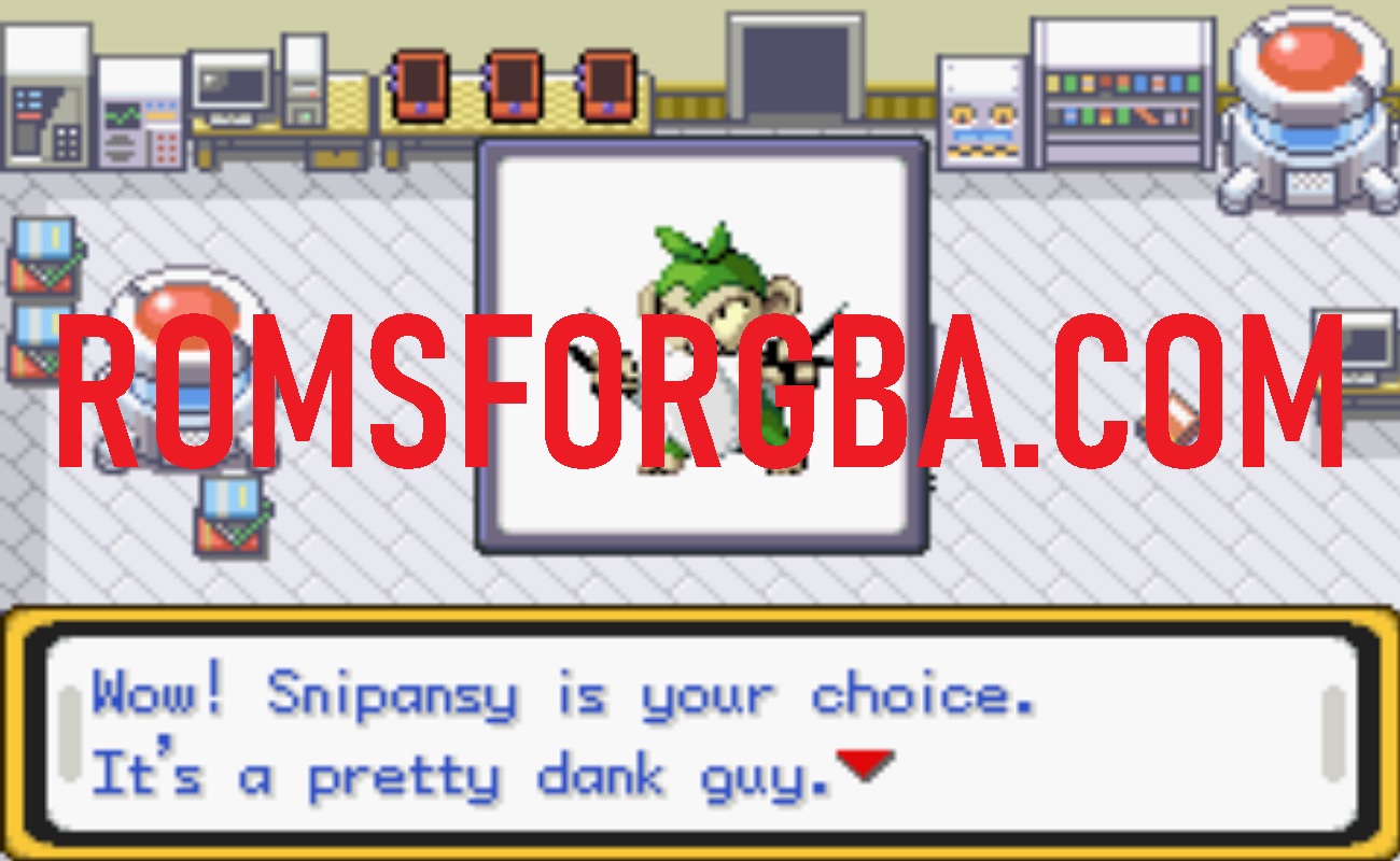 Screenshot of Pokemon NOON Download