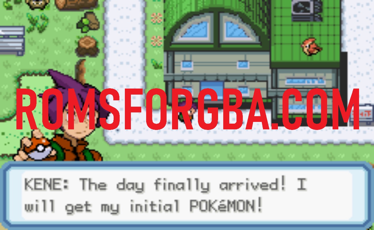 Screenshot of Pokemon The Fall of Heroes GBA