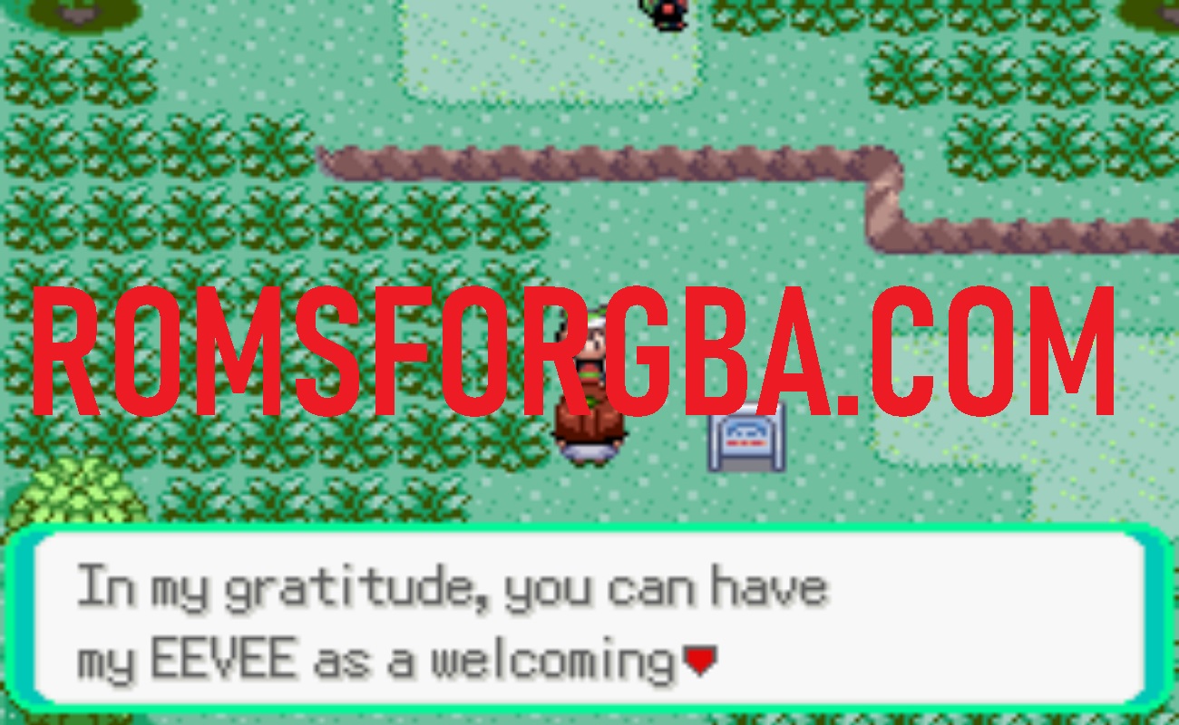 Screenshot of Pokemon Amalgamation of Emerald Game
