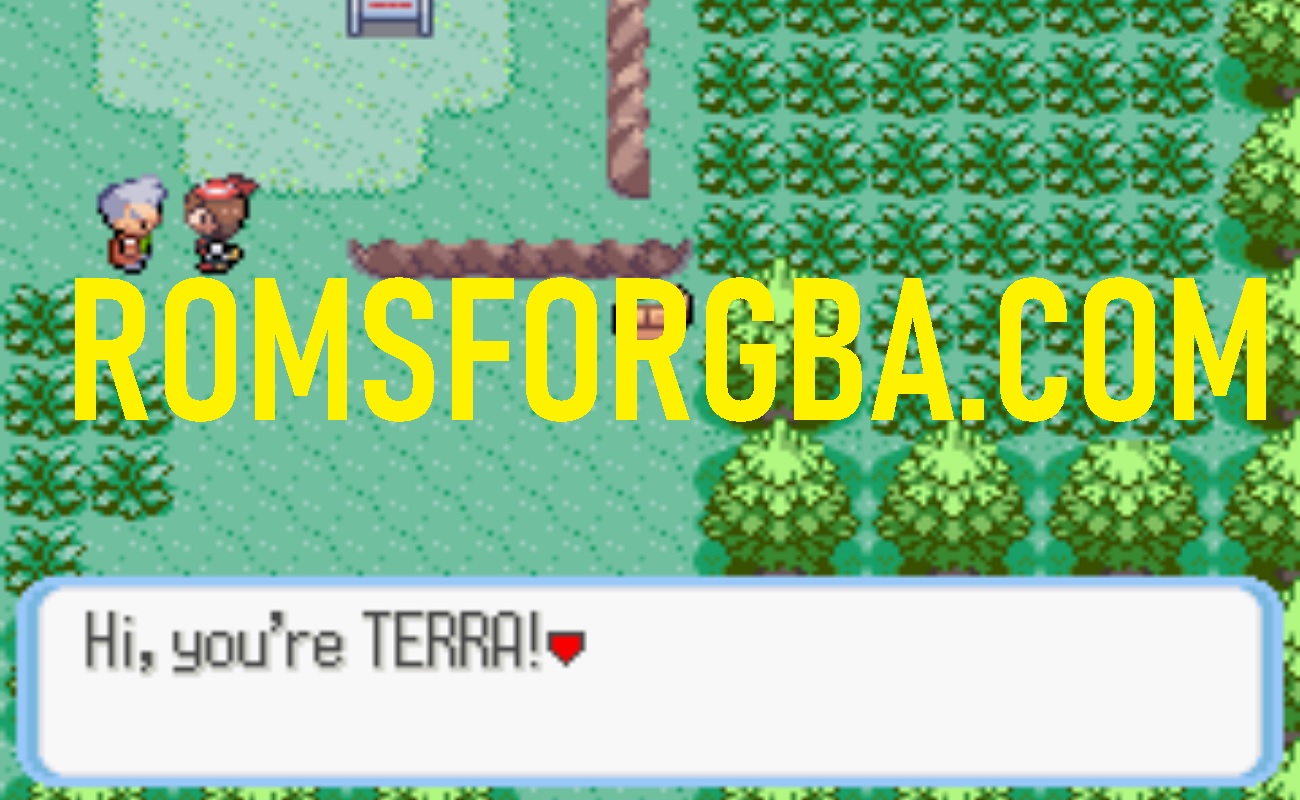Screenshot of Pokemon Frigo Returns Game