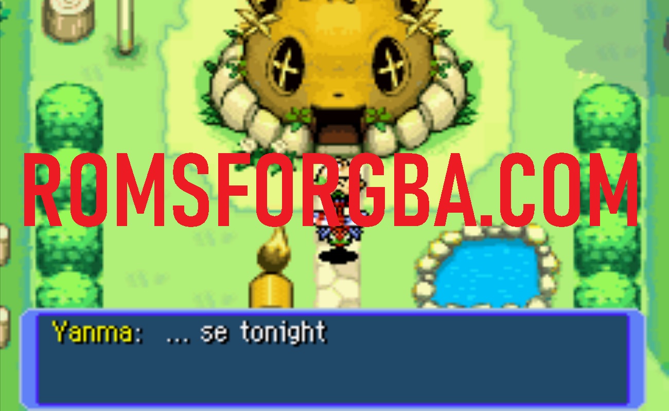 Screenshot of Pokemon Mystery Dungeon Infdev Game