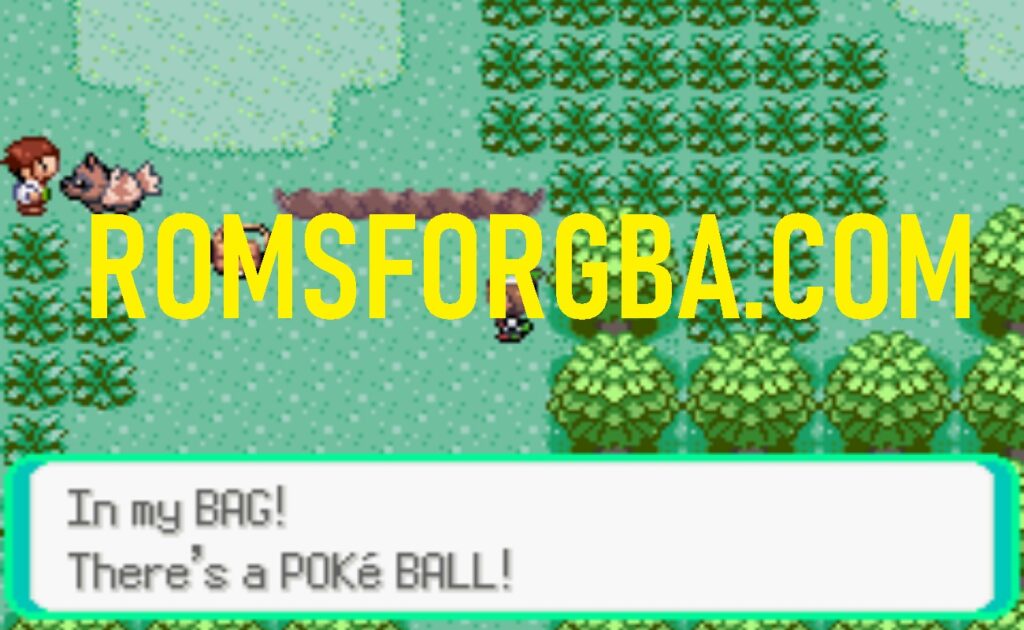 Screenshot of Pokemon Emerald Docal GBA