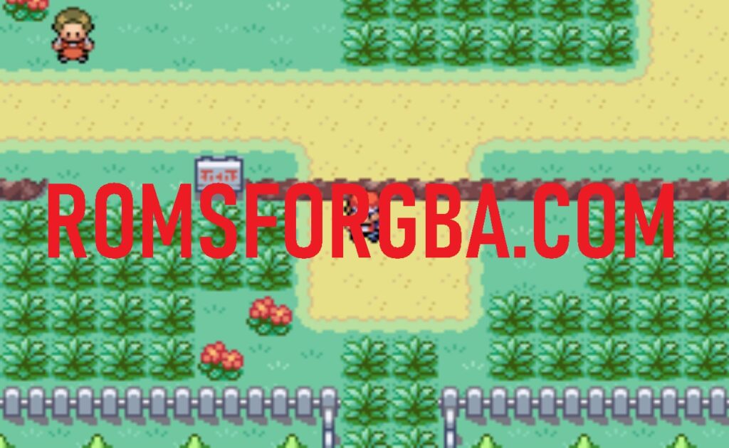 Screenshot of Pokemon FireRed Nintendask Edition Game
