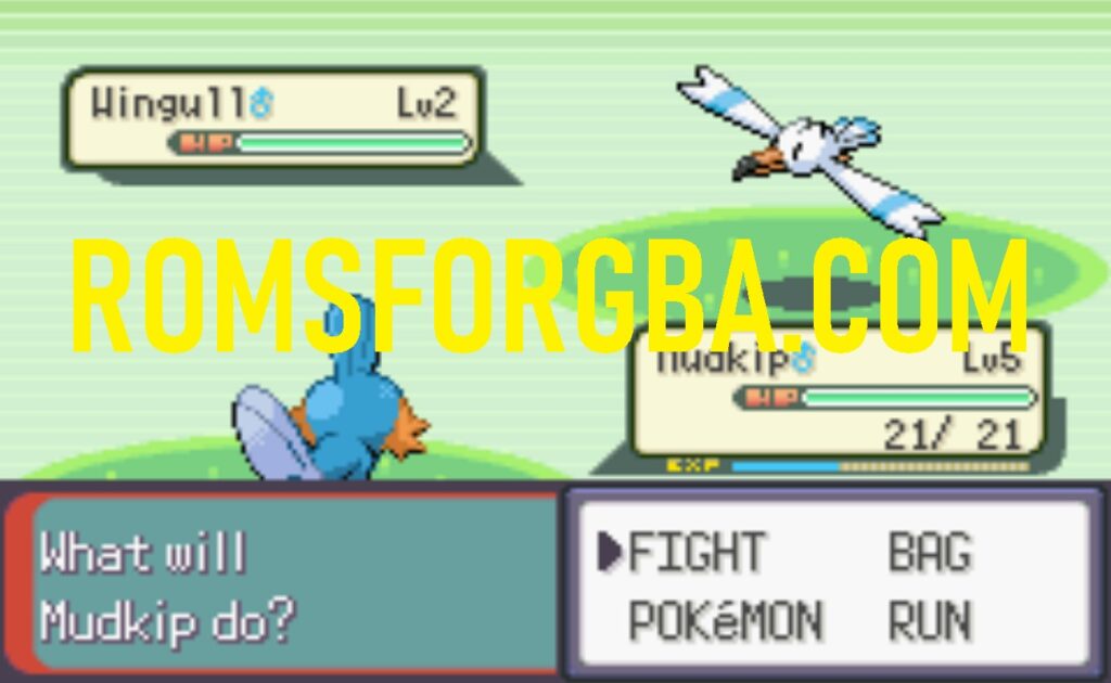 Screenshot of Pokemon Tim Download