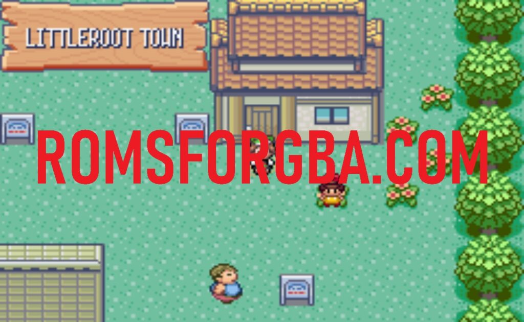 Screenshot of Pokemon Tim GBA