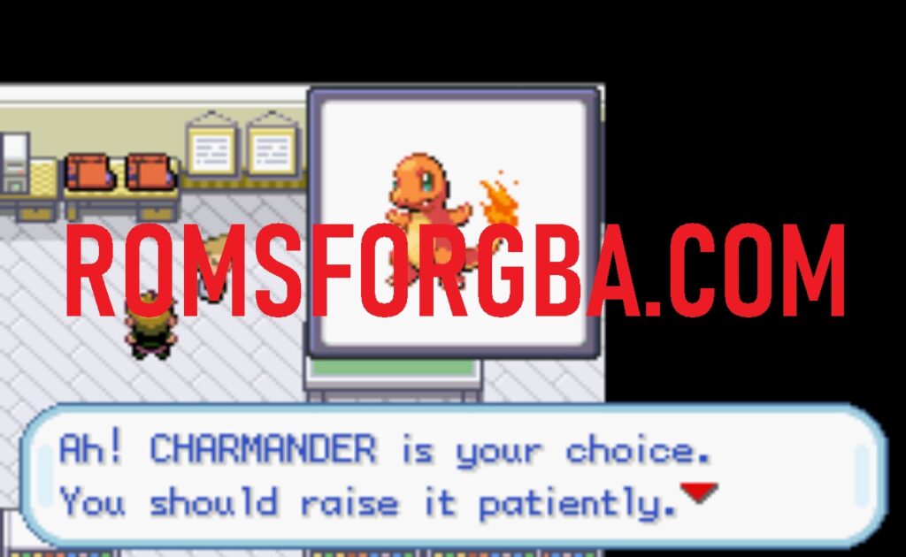 Screenshot of Pokemon Fire Red Hardcore Challenge Game