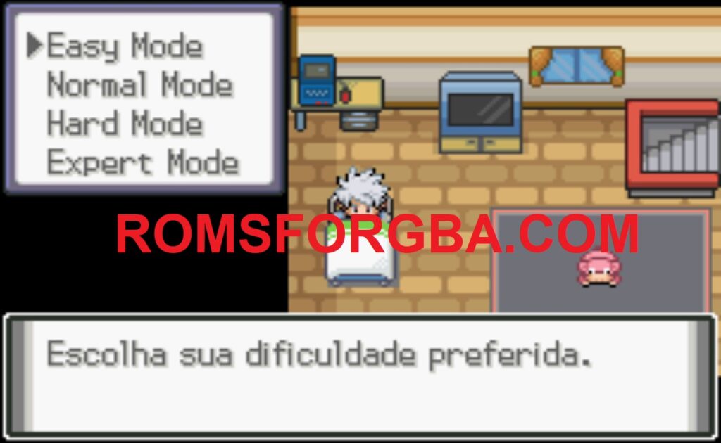 Pokemon Dark Worship GBA ROM