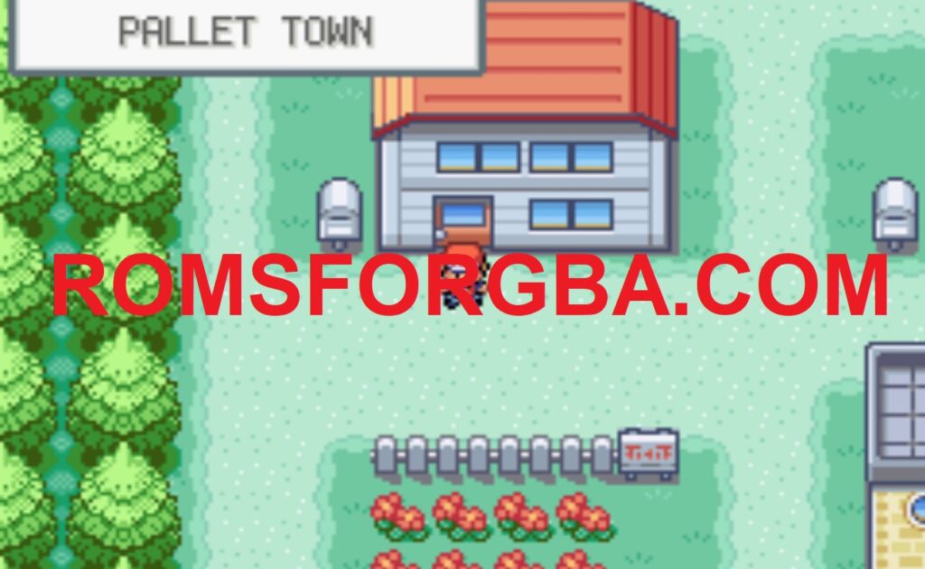 Pokemon Fire Red Squirrels GBA