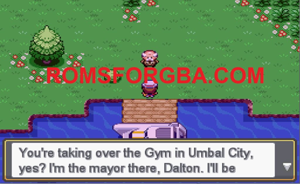 Pokemon This Gym of Mine RPG XP Game