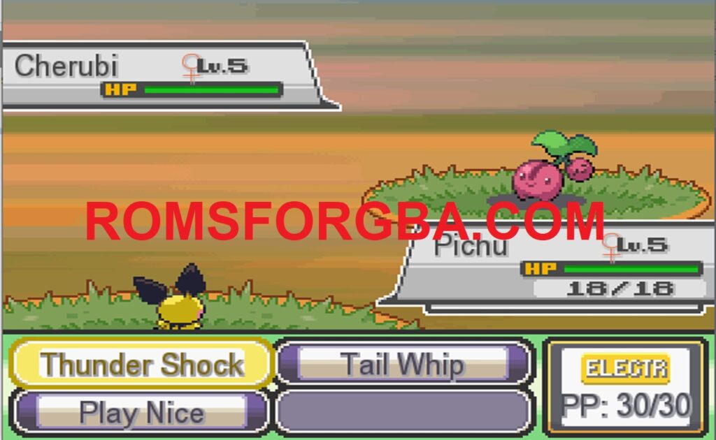 Pokemon This Gym of Mine RPGXP