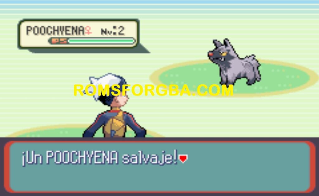 Screenshot of Pokemon Rubí Einglocke GBA