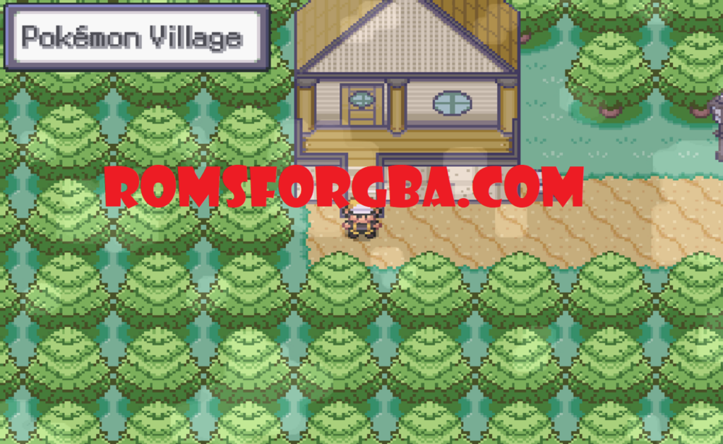 Screenshot Of Pokemon Broken Game