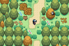 Screenshot Of Pokemon Coliseo Eterno GBA ROM Hack