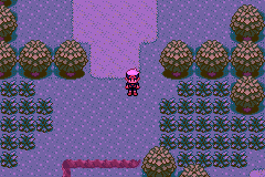 Screenshot Of Pokemon Emerald Final World Download