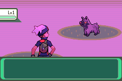 Screenshot Of Pokemon Emerald Final World Game