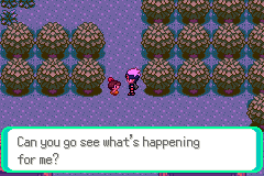 Screenshot Of Pokemon Emerald Final World ROM