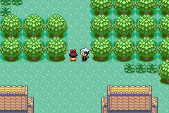 Screenshot Of Pokemon Emerald TBT ROM