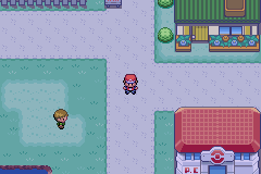 Screenshot Of Pokemon Fire Red 898 Randomizer Download