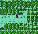 Screenshot Of Pokemon Ice Silver GBC ROM Hack