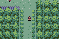 Screenshot Of Pokemon Wish GBA ROM Hack