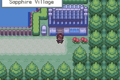 Screenshot Of Pokemon Wish Hack