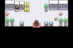 Screenshot Of Pokemon Wish ROM