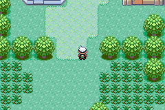 Screenshot of Pokemon Too Many Types Download