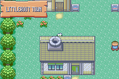 Screenshot of Pokemon Too Many Types GBA