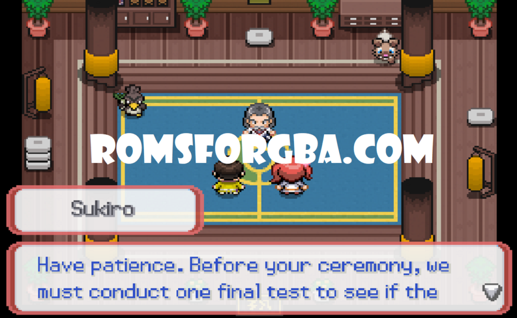Screenshot Of Pokemon Bushido RPGXP