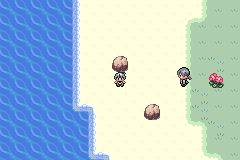 Screenshot Of Pokemon Nameless Download