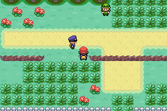 Screenshot Of Pokemon Outlaw Download