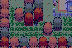 Screenshot Of Pokemon Red And Blue Sequel GBA