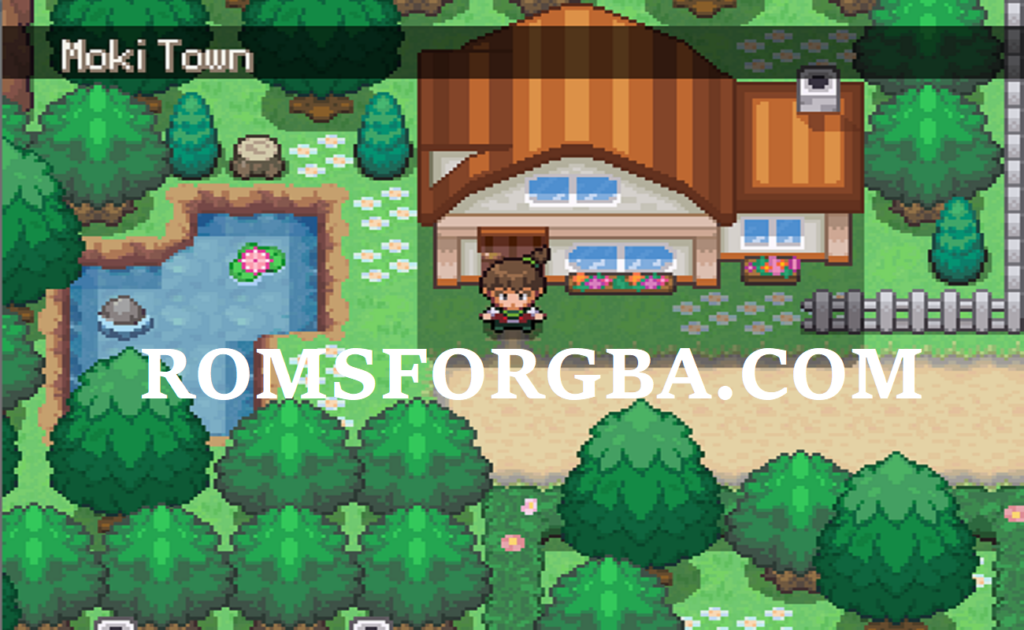 Screenshot Of Pokemon Uranium RPG XP