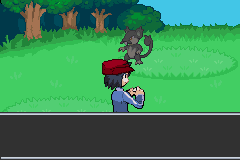 Screenshot Of Pokemon Yuval Download