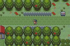 Screenshot of Pokemon Liquid Crystal Hack