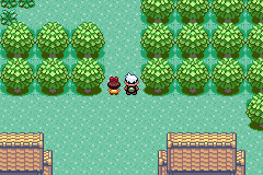 Screenshot of Pokemon Theta Emerald The Last Dance Hack