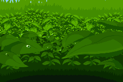 Pokemon Blazed Glazed GBA ROM